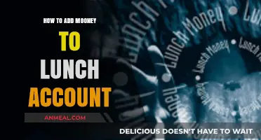 Quick Guide: Adding Funds to Your Lunch Account Easily