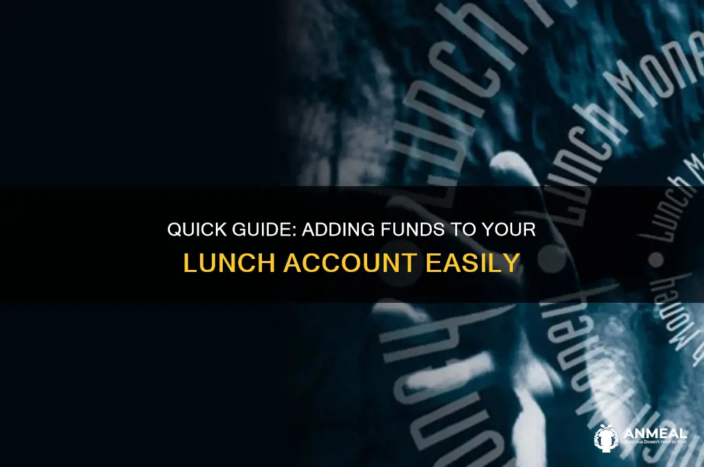 how to add mooney to lunch account