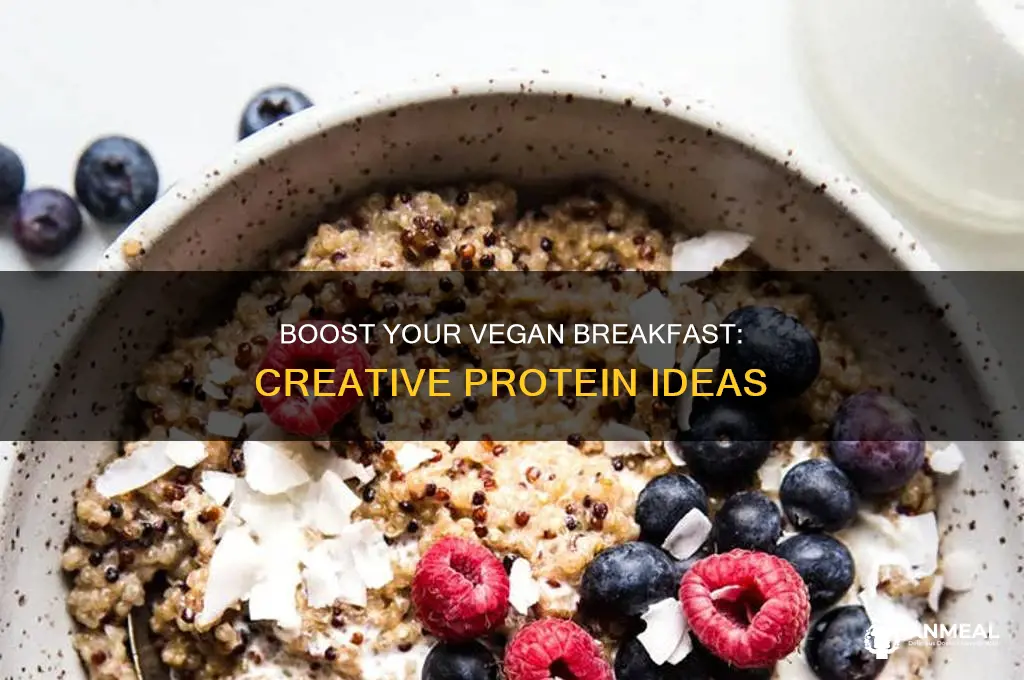how to add protein to a vegan breakfast
