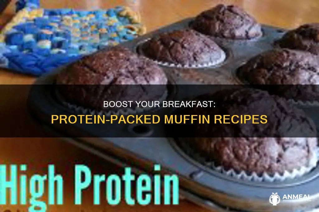 how to add protein to breakfast muffins