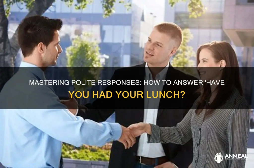 how to answer have you had your lunch