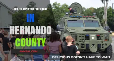 Hernando County Free Lunch Application Guide: Steps to Apply