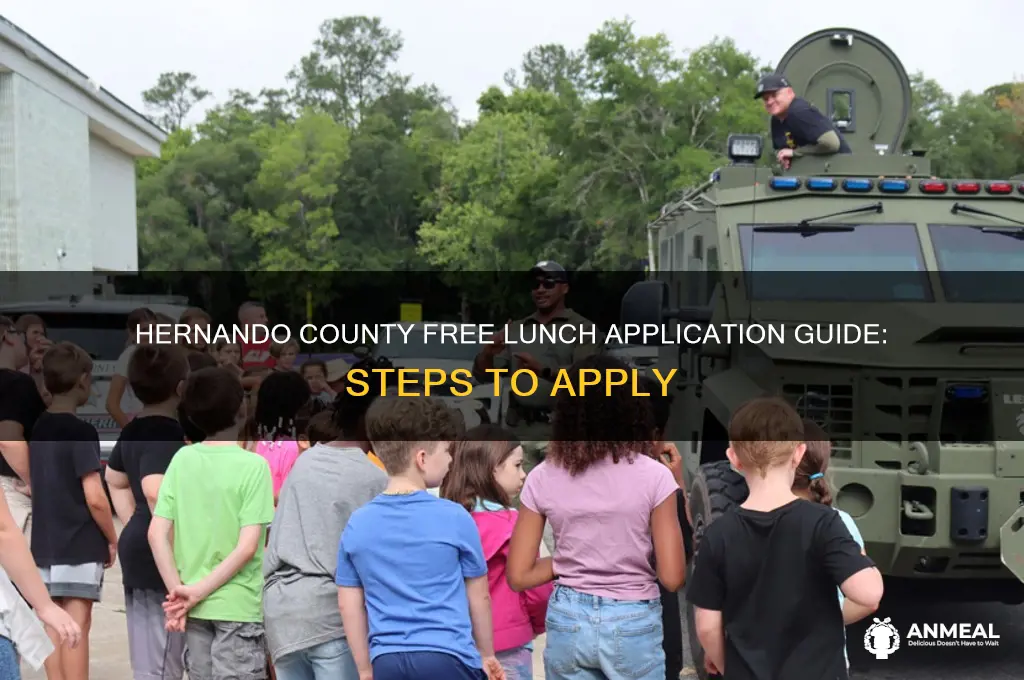 how to apply for free lunch in hernando county