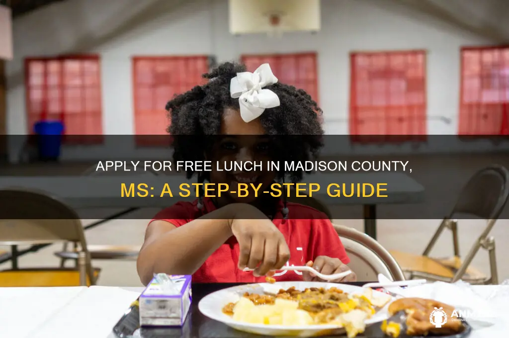 how to apply for free lunch in madison county ms