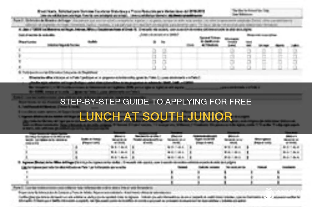 how to apply for free lunch south junior
