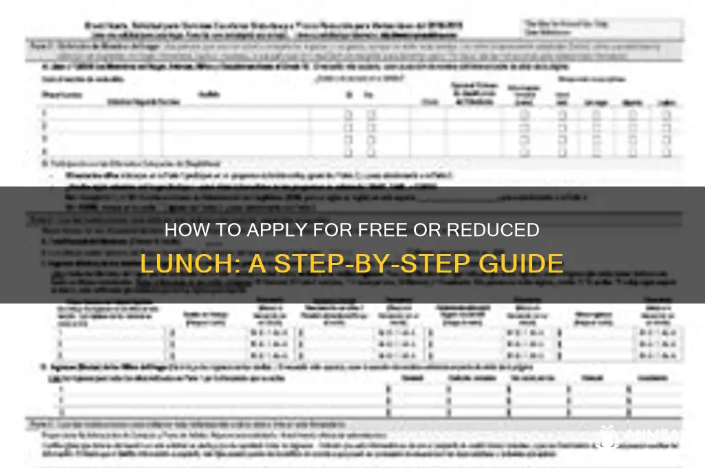 how to apply for free reduced lunch