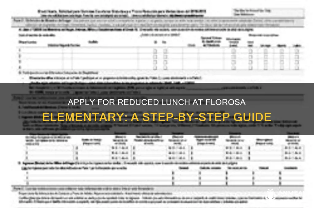 how to apply for reduced lunch florosa elementary