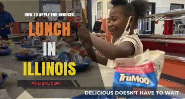 Illinois Reduced Lunch Application Guide: Steps for Families to Apply