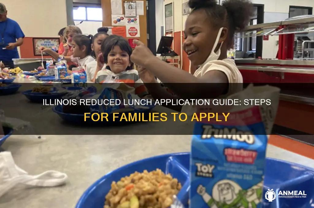 how to apply for reduced lunch in illinois