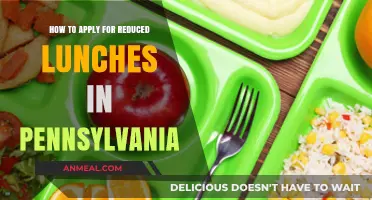 Pennsylvania Reduced Lunch Application Guide: Steps for Eligibility and Submission