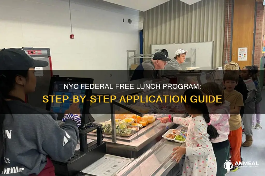 how to apply to federal free lunch program in nyc