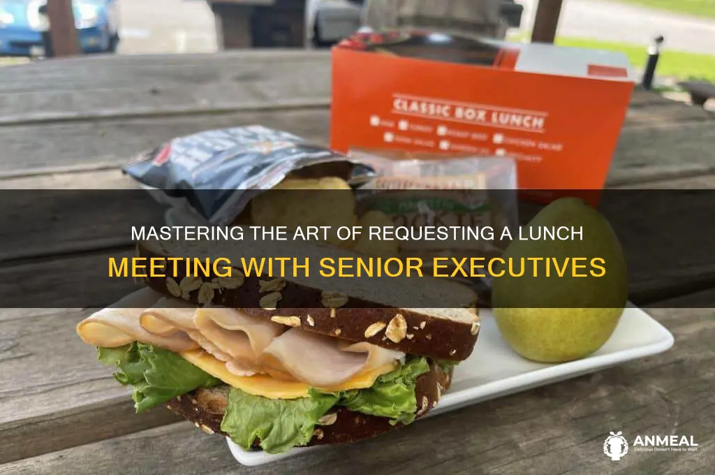 how to ask a senior executive for lunch