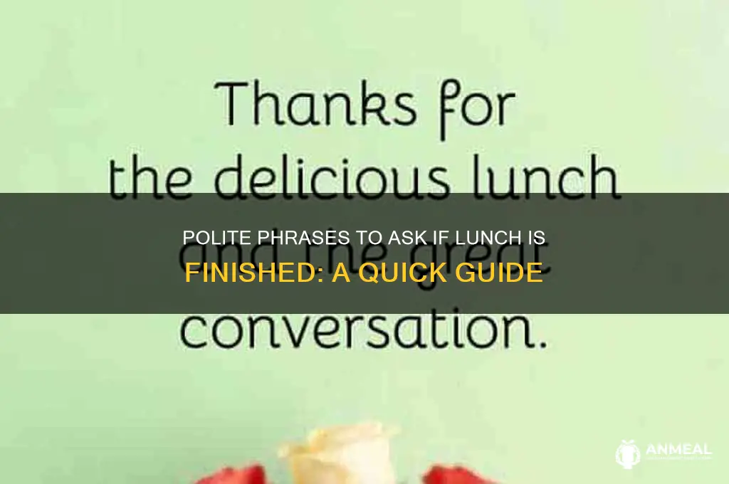 how to ask finished lunch