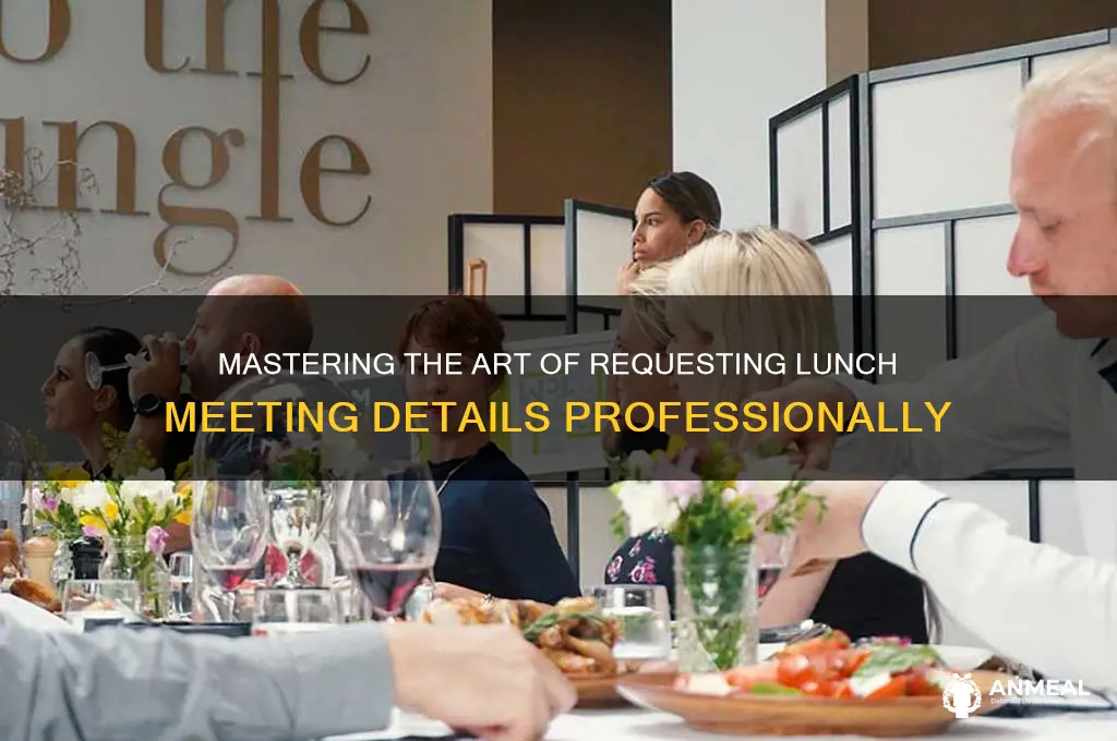 how to ask for details for meeting over lunch