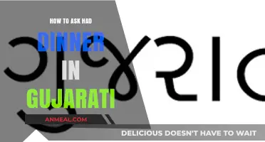 તમે ખાવા ખાયા? Learn to Ask 'Had Dinner' in Gujarati