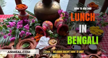 Simple Bengali Phrases: How to Ask 'Have You Had Lunch?' Easily