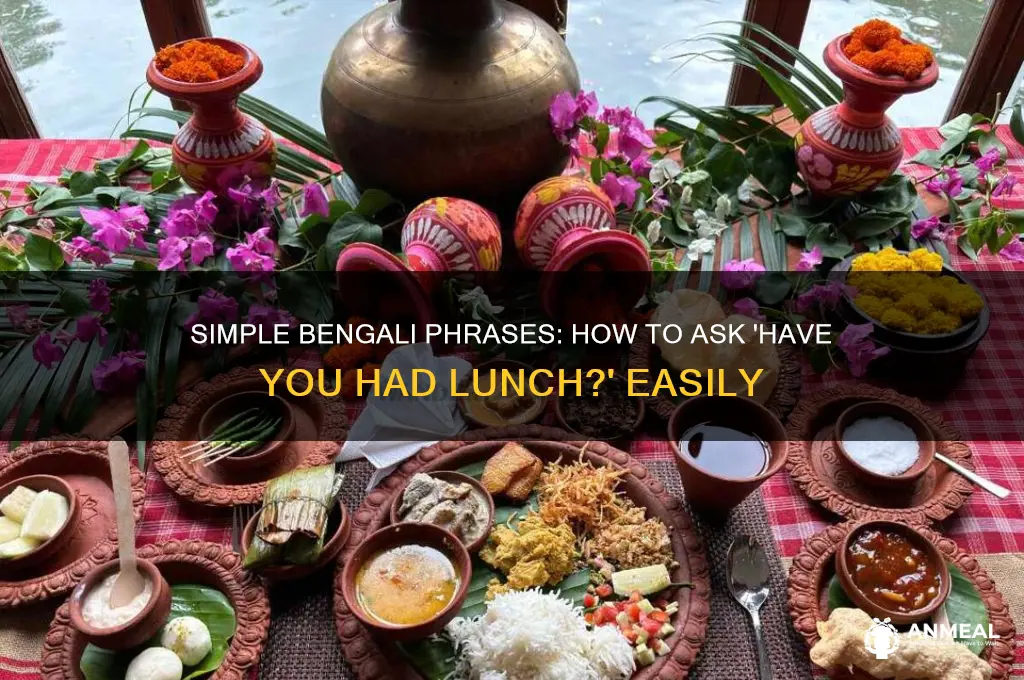 how to ask had lunch in bengali