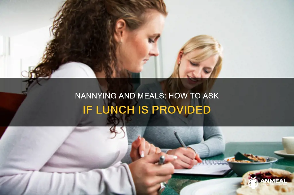 how to ask if lunch is provided when nannying
