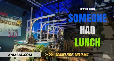 Casual Check-In: Simple Ways to Ask if They’ve Had Lunch Yet