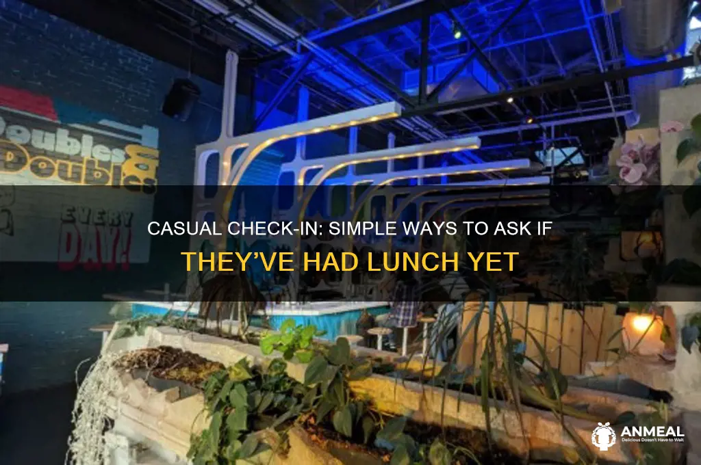 how to ask if someone had lunch
