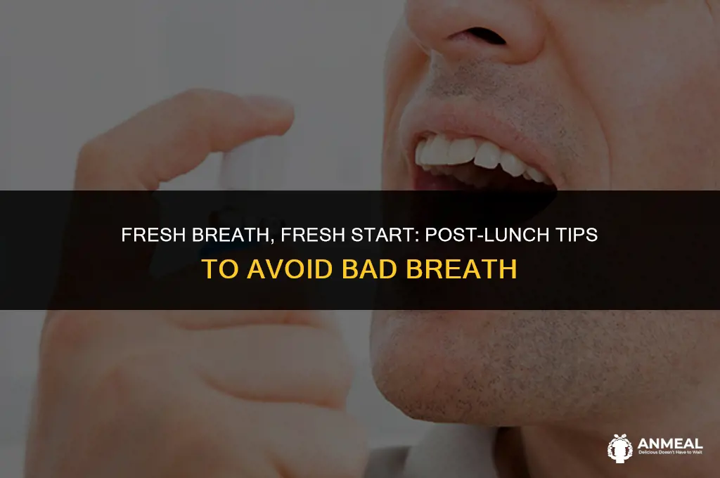 how to avoid bad breath adter lunch