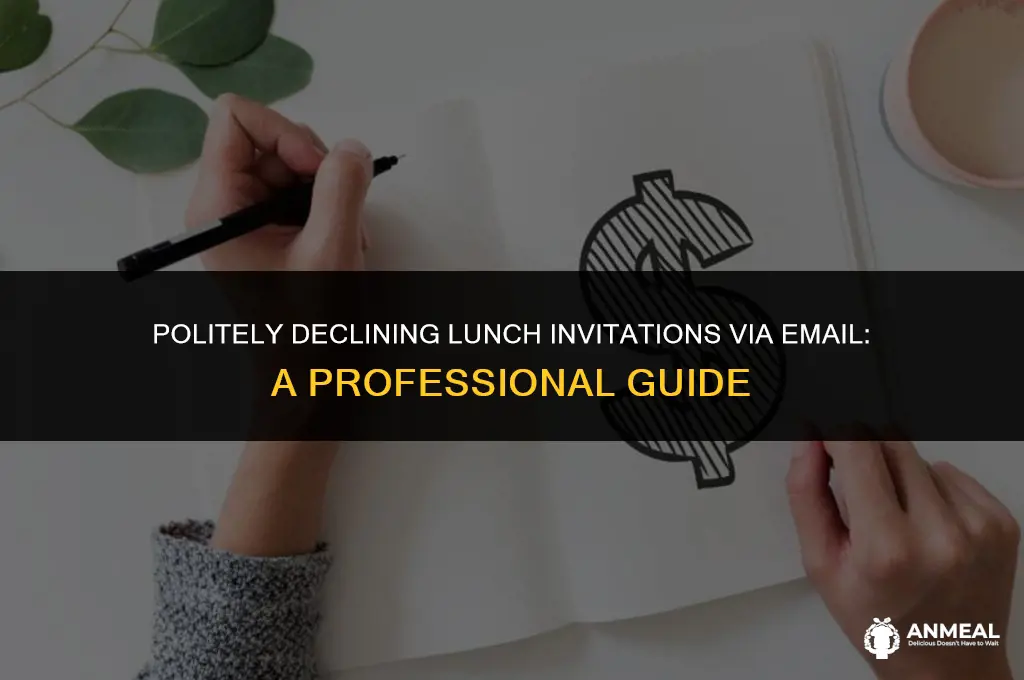 how to avoid having lunch with someone over email