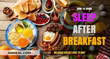 Staying Alert After Breakfast: Tips to Avoid Sleepiness