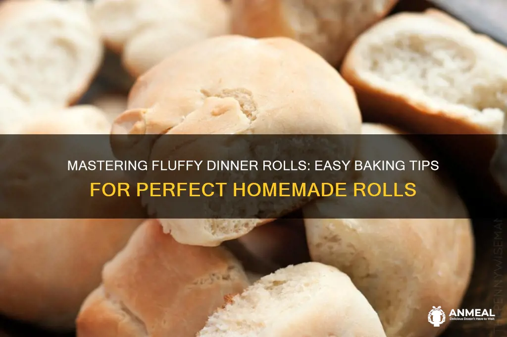 how to bake dinner rolls