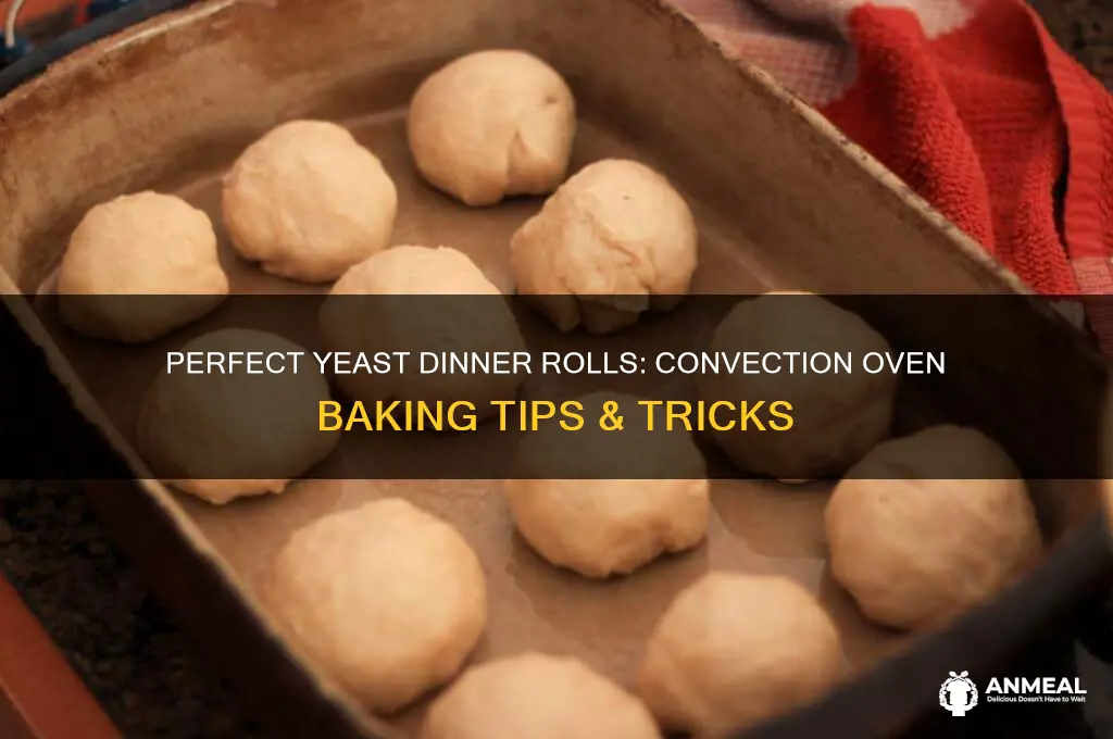 how to bake yeast dinner rolls in a convection oven