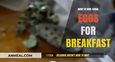 Boiling Quail Eggs: Quick, Nutritious Breakfast
