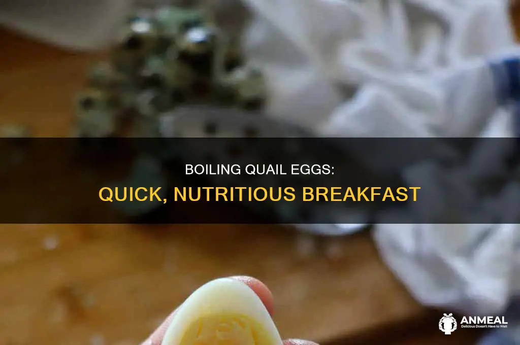 how to boil quail eggs for breakfast