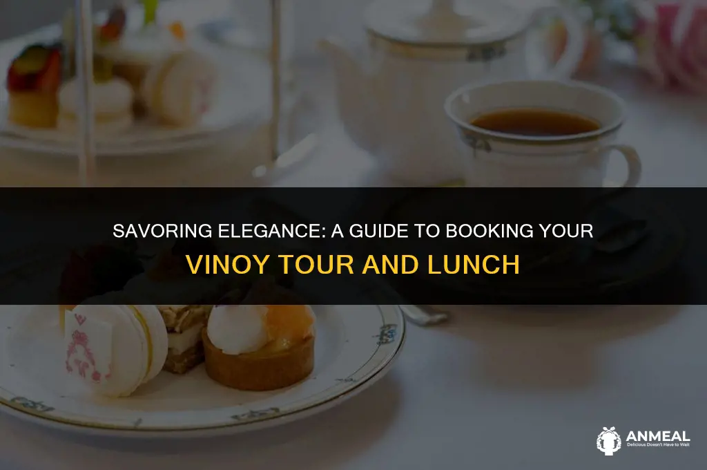 how to book a vinoy tour and lunch
