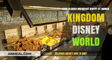 Book Animal Kingdom Breakfast Buffet: A Quick Guide