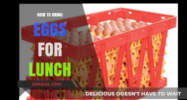 Egg-cellent Lunch Ideas: How to Transport Eggs Safely