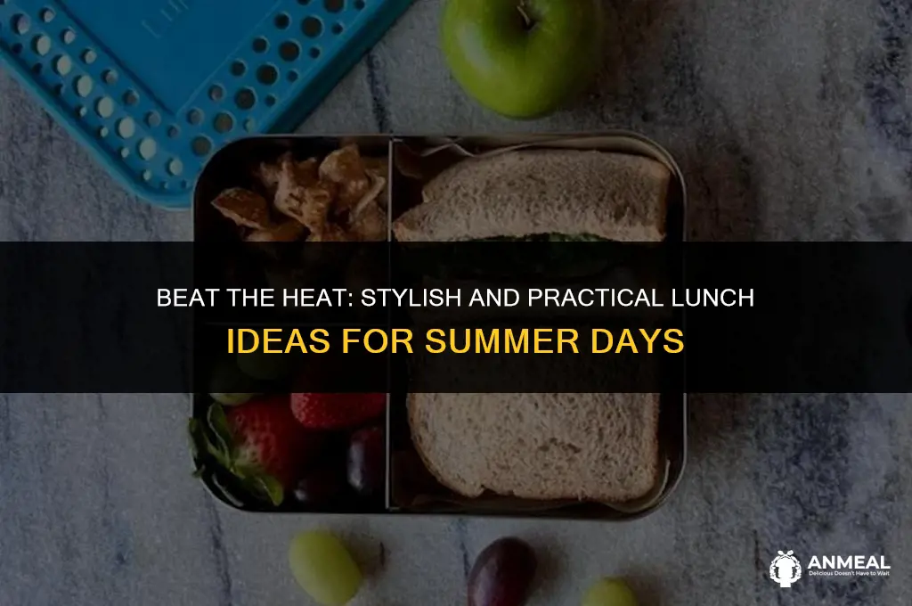 how to bring lunch in summer