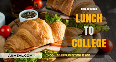 Easy and Healthy Lunch Ideas for College Students