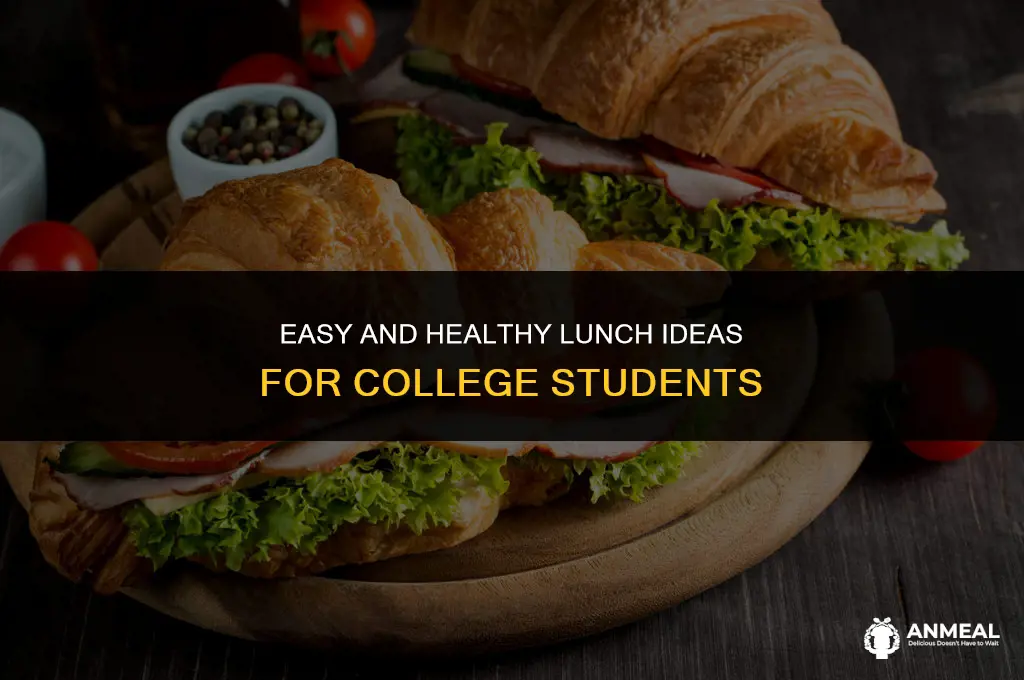 how to bring lunch to college