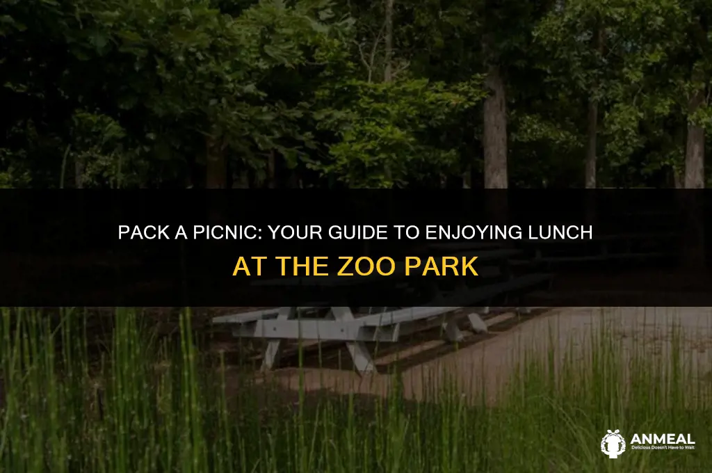 how to bring lunch to the zoo park