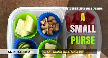 Compact Lunch Ideas for Small Purse Carriers