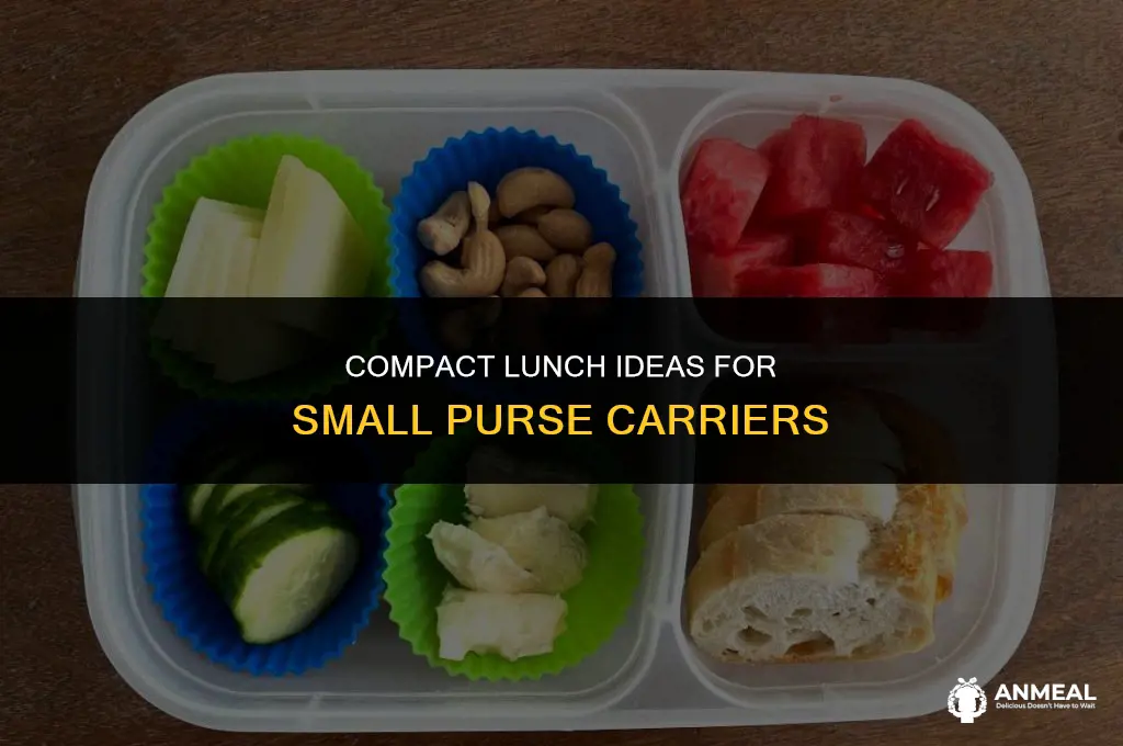 how to bring lunch when carrying a small purse