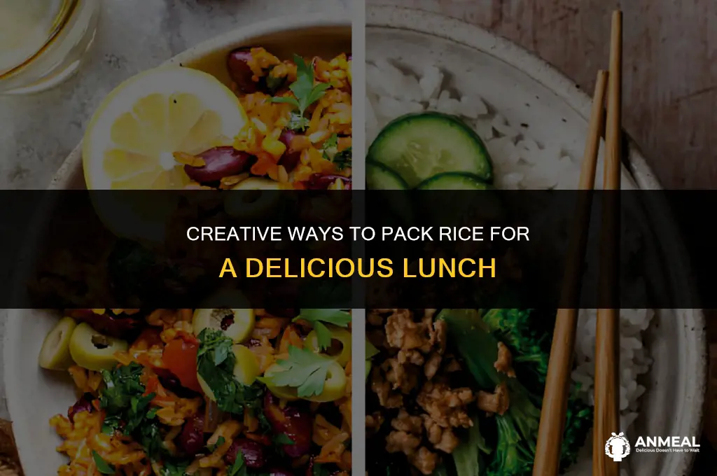 how to bring rice for lunch