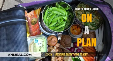 Flying with Flavor: Your Guide to Packing the Perfect In-Flight Lunch