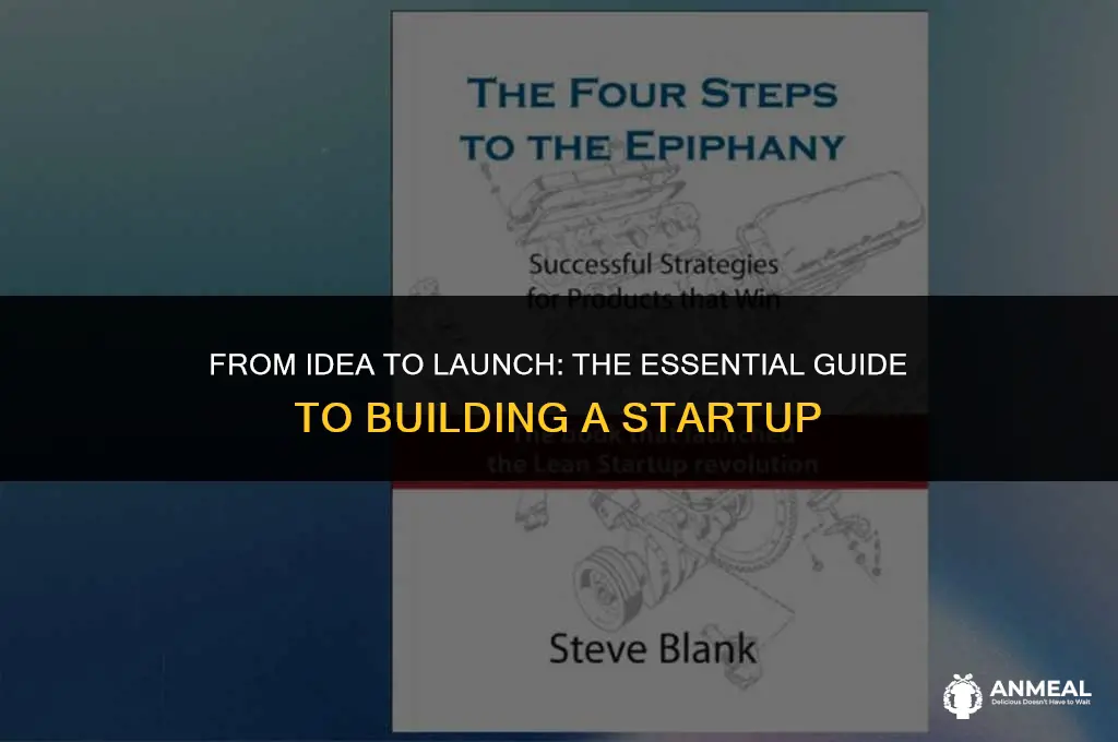 how to build a startup company to lunch