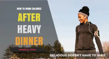Post-Dinner Calorie Burn: Simple Strategies to Offset a Heavy Meal