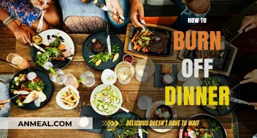 Post-Dinner Calorie Burn: Simple Strategies to Offset Your Meal