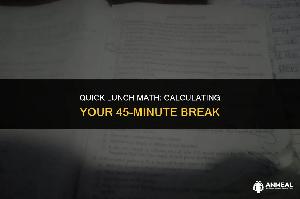 how to calculate 45 min lunch
