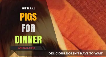 Mastering the Art of Summoning Pigs for Dinner: Tips and Tricks