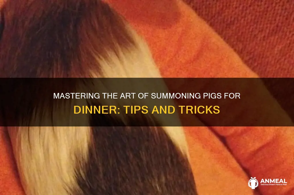 how to call pigs for dinner