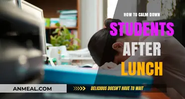 Post-Lunch Calm: Strategies to Soothe Students After Lunchtime