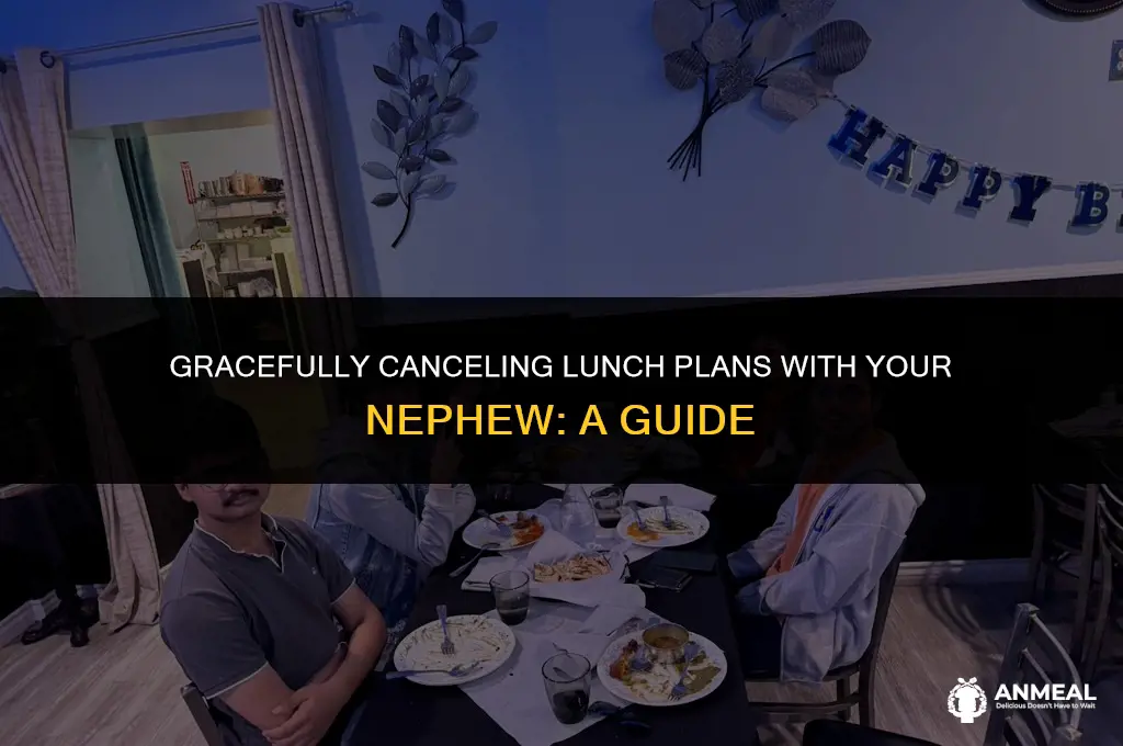 how to cancel a lunch date with my nephew